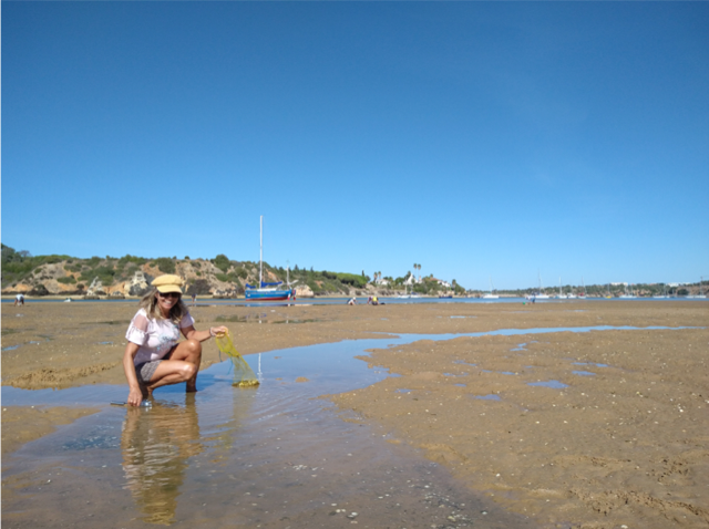 picture of a lady catching clams on the bottom of the see in Alvor Bay