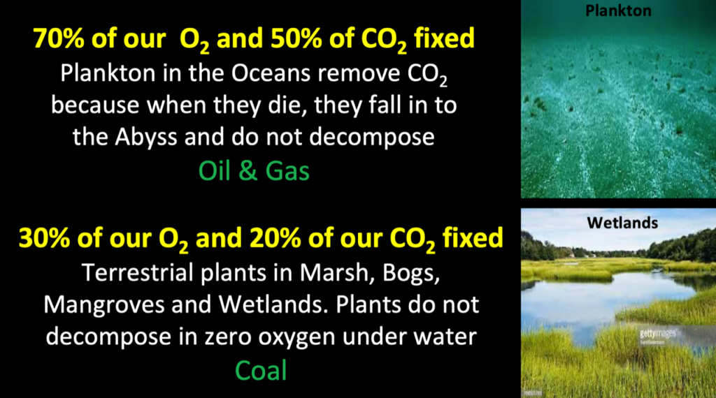 picture showing the CO2 absorption capacity and the O2 generation capacity of plankton and wetlands