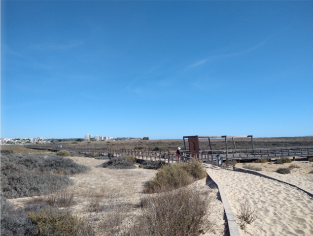 picture showing the boardwalk trough Alvor Nature Reserve